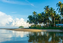 世界上最大的椰子出口國是哪個國家 世界上最大的椰子出口國在哪里