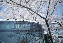 重庆138公交车路线及时间表 138公交车发车时间