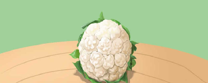 花椰菜主要食用的是它的哪个部分 我们吃的花椰菜是该植物的哪里