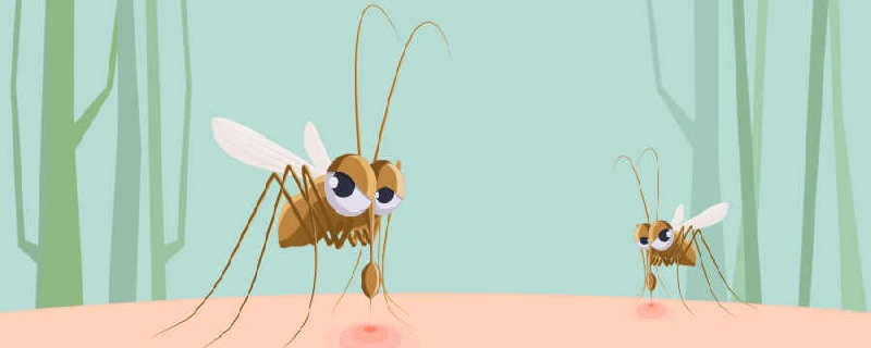 想要更稳准狠地打中蚊子最好怎么拍 怎么样才能更准的打中蚊子