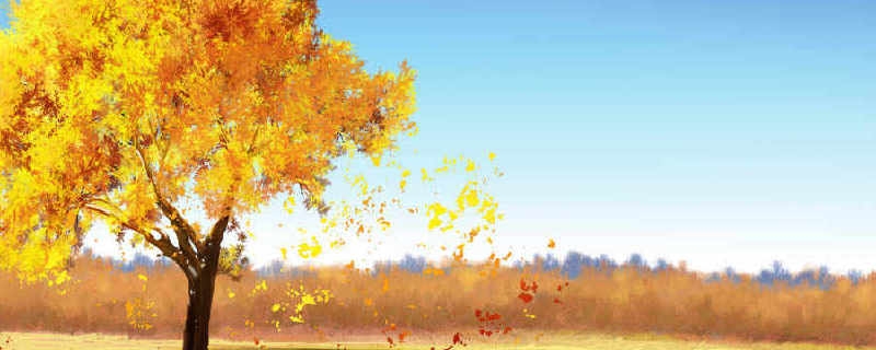 有关秋分的古诗词名句 描写秋分节气的古诗有哪些