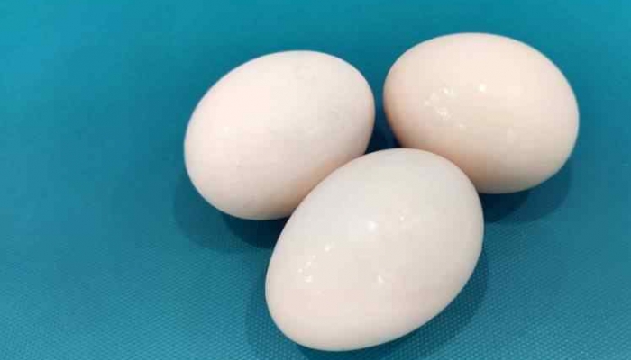 民间秋分竖蛋通常用什么蛋 秋分竖蛋是鸡蛋还是鸭蛋