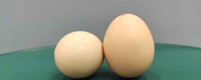 民间秋分竖蛋通常用什么蛋 秋分竖蛋是鸡蛋还是鸭蛋