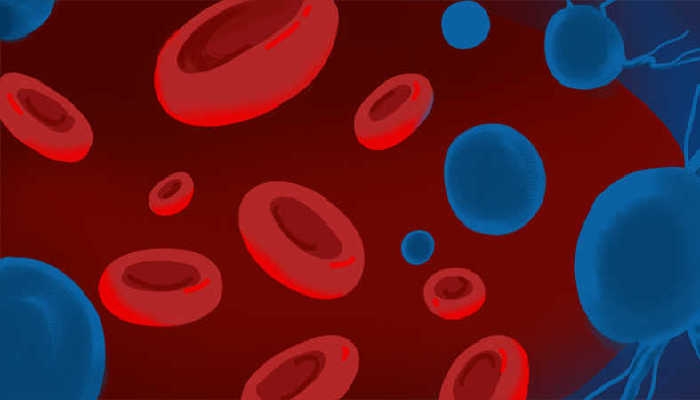 人类血栓中首次发现微塑料 微塑料对人体有什么危害