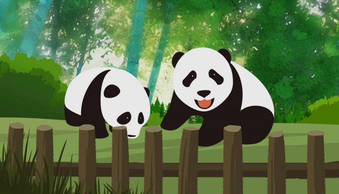秦岭再现大熊猫“遛娃”熊猫宝宝一直认真在“干饭”