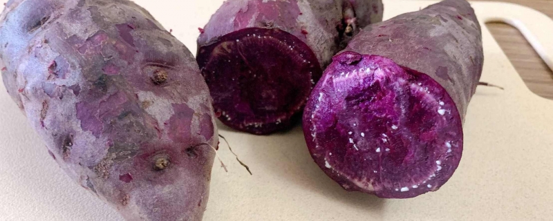 紫薯热量高还是红薯 紫薯需要煮多久