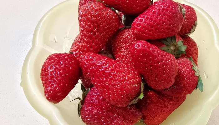 草莓上市部分品种近200元一斤 吃草莓要注意什么