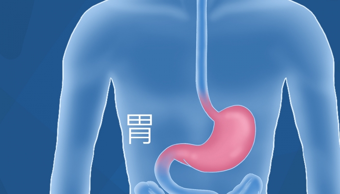 人体最大的消化腺是哪个器官 人体最大的消化腺是胃还是肝脏