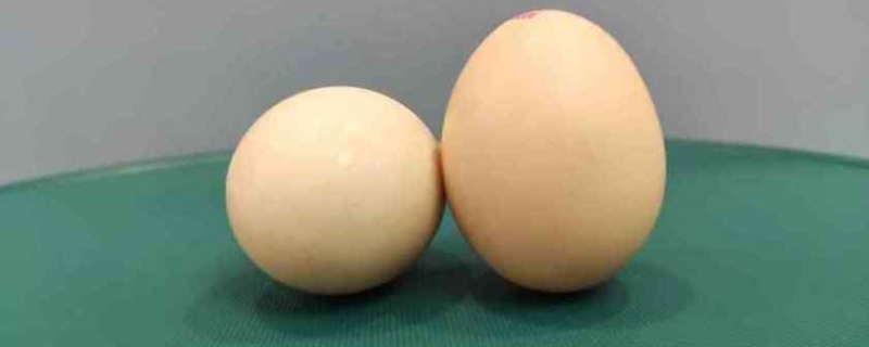 鸡蛋放冰箱前可以用水清洗吗 鸡蛋放冰箱可以保存多久