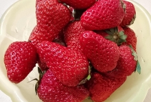 草莓不甜怎么处理 草莓怎么清洗