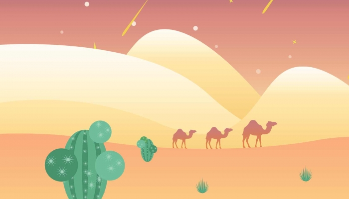 卡塔尔游客多到骆驼加班 每天骑行20次左右涨至1000次左右