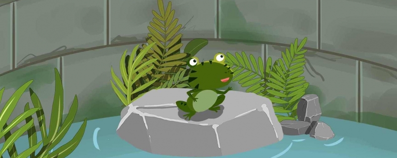 青蛙属于恒温动物还是变温动物