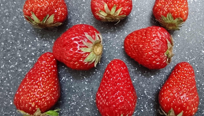 草莓为什么冬天上市