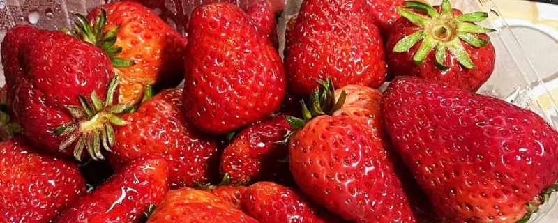草莓的营养价值及功效