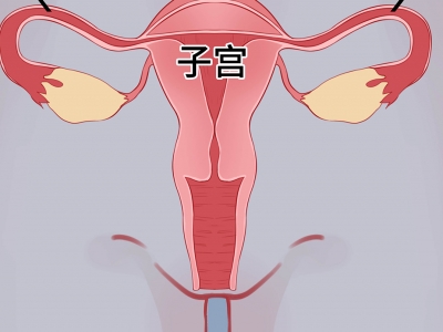 子宫内膜回声不均匀影