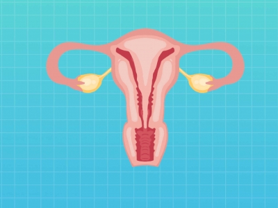 子宫内膜是什么东西