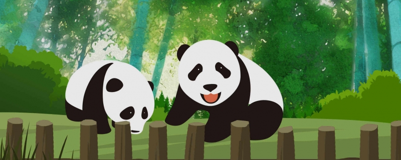 3只旅日大熊猫今日回国 旅日大熊猫“永明”与它的双胞胎女儿今日回国