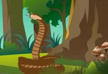 热带雨林有什么蛇类