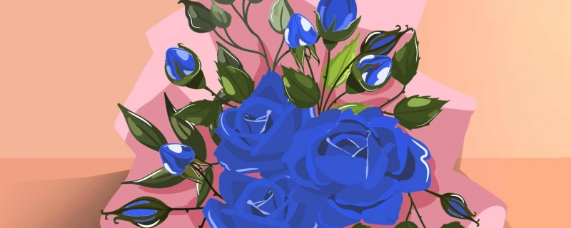 名为蓝色妖姬的蓝色玫瑰花通常来自什么 玫瑰花蓝色妖姬是人工还是基因变异