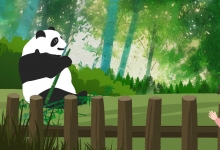 成都大熊猫基地旅游全攻略 到成都大熊猫基地怎么走