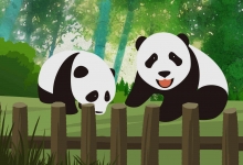 成都大熊猫基地旅游攻略 成都大熊猫基地游玩攻略