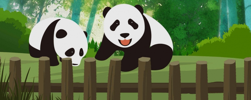 招聘大熊猫饲养员数百份简历零录取 当大熊猫饲养员门槛有多高