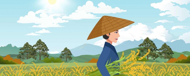 中国杂交水稻推广到数十国家和地区是什么情况 杂交水稻的价值意义