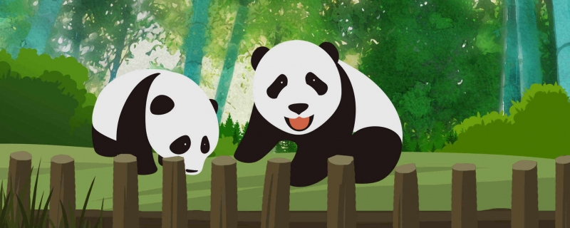 专家回应网传青海现野生大熊猫是什么情况 专家回应网传青海现野生大熊猫