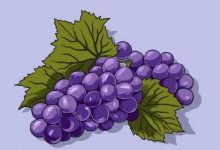 巨峰葡萄的营养价值及营养成分