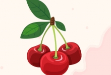 樱桃的营养价值及营养成分