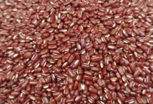红豆的营养价值及营养成分