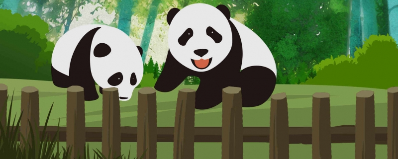 旅美20年的大熊猫“丫丫”即将回国 丫丫回国的最新消息