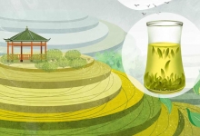绿茶的营养价值及营养成分