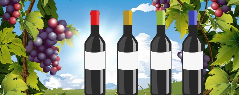 十大葡萄酒品牌排行榜 葡萄酒品牌排行榜前十名
