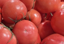 番茄汁的营养价值及营养成分