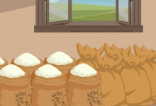 丝苗米的营养价值及营养成分