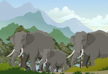 大象用鼻子吸水为什么不会被呛到