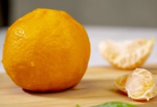粑粑柑与丑橘有什么不同