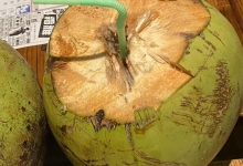 椰子肉能直接生吃吗
