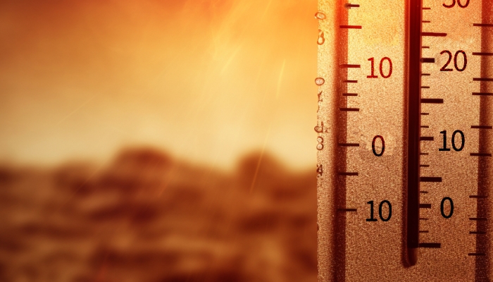 泰安发布今夏第二个高温橙警 今明两天局部可达39℃以上