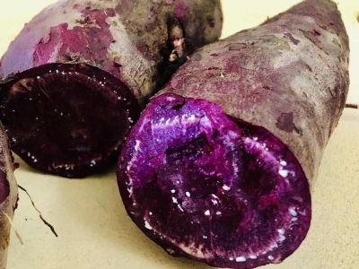 孕妇吃紫薯有什么好处  紫薯的功效与作用