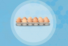 受精蛋和普通蛋区别在哪