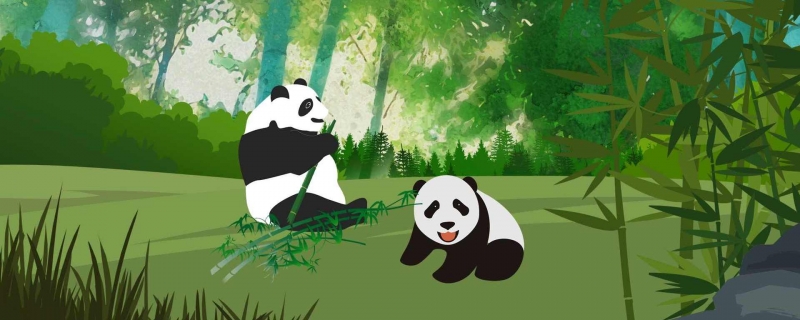 2007年为庆祝香港回归将大熊猫叫什么