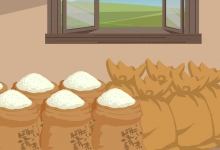 粘米和大米的区别