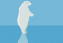 北极熊的皮肤颜色是什么