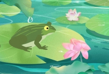 为什么青蛙归属到益虫 青蛙属于什么动物