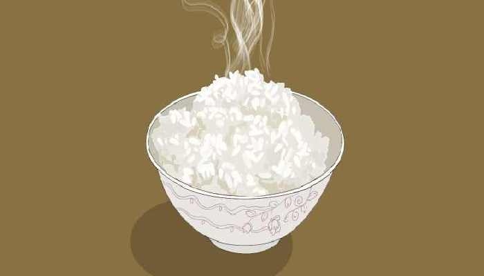 自热米饭里的大米是真大米吗