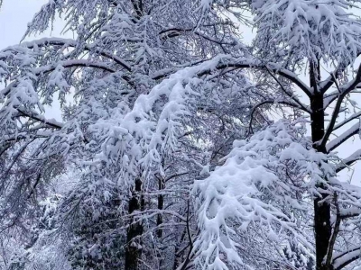 吉林今天雨雪天气持续 吉林长春等地部分地区将有大暴雪