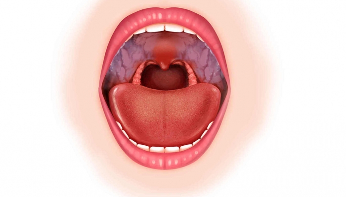 喉咙中间的小舌头有什么用