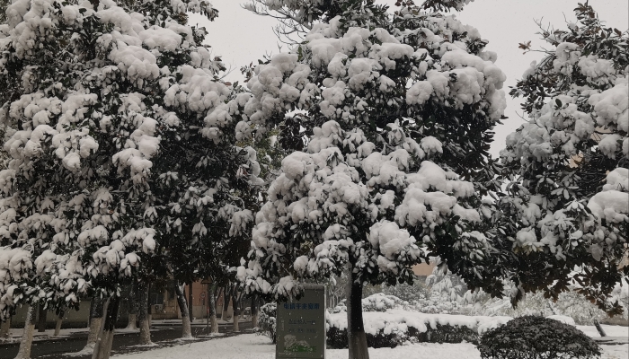 未来三天安徽雨雪天气持续 合肥今天局部将有暴雪